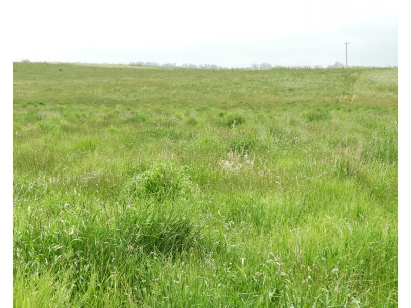 Lot 1 Richlands Road, Taralga NSW 2580