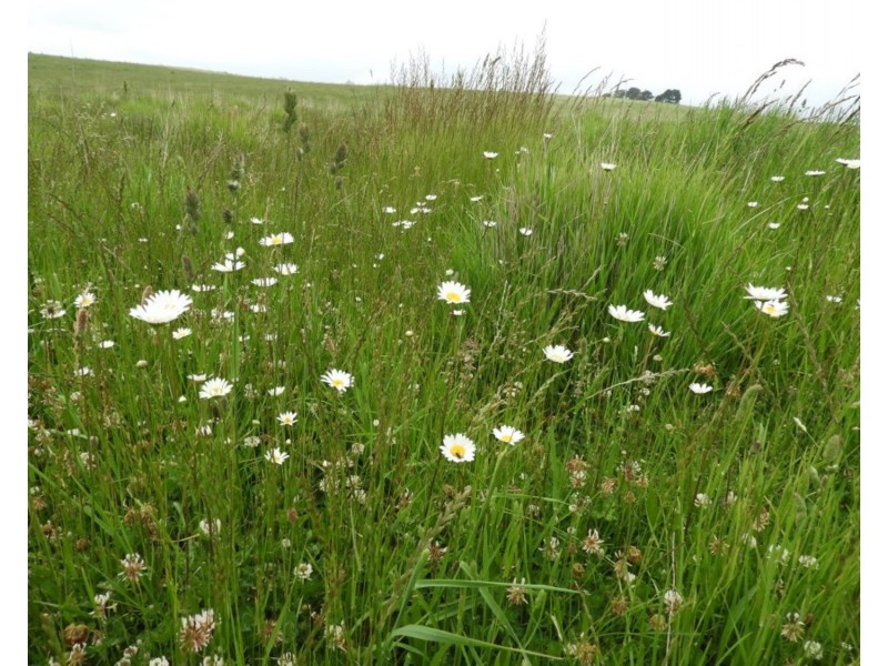 Lot 1 Richlands Road, Taralga NSW 2580