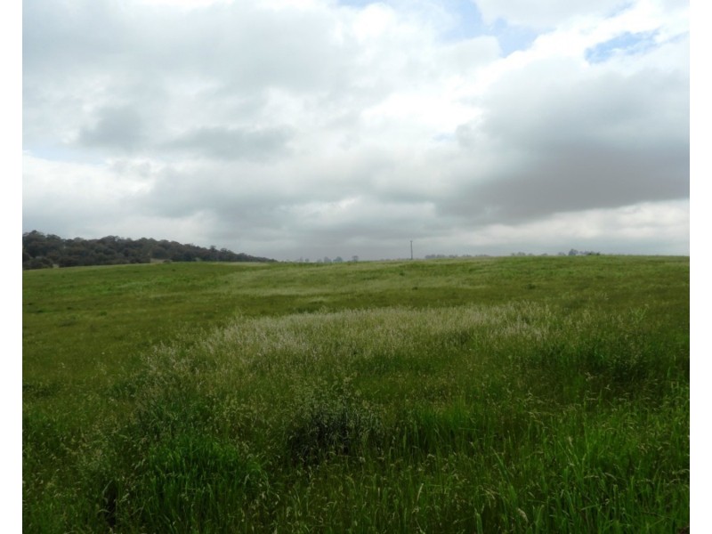 Lot 1 Richlands Road, Taralga NSW 2580