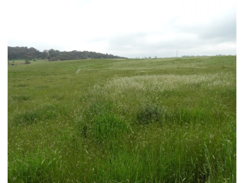 Lot 1 Richlands Road, Taralga NSW 2580