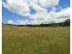Lot 1 Wombeyan Caves Road, Taralga NSW 2580