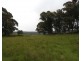 Lot 1 Wombeyan Caves Road, Taralga NSW 2580