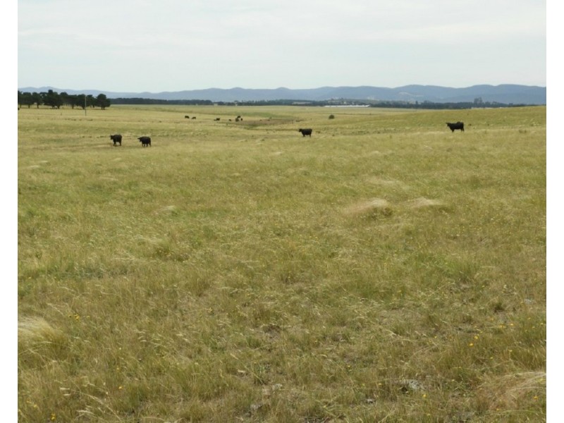 1440 Windellama Road, Goulburn NSW 2580