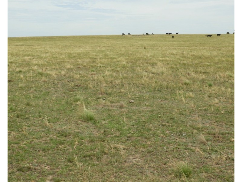 1440 Windellama Road, Goulburn NSW 2580