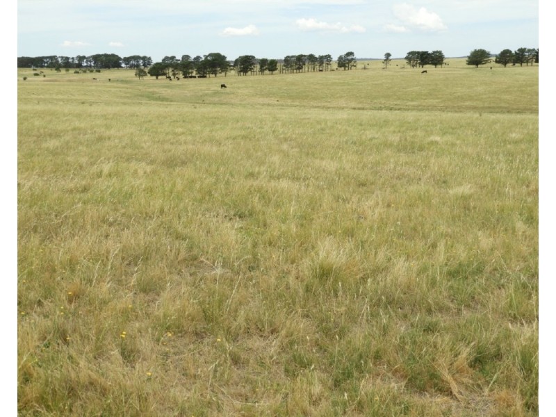 1440 Windellama Road, Goulburn NSW 2580