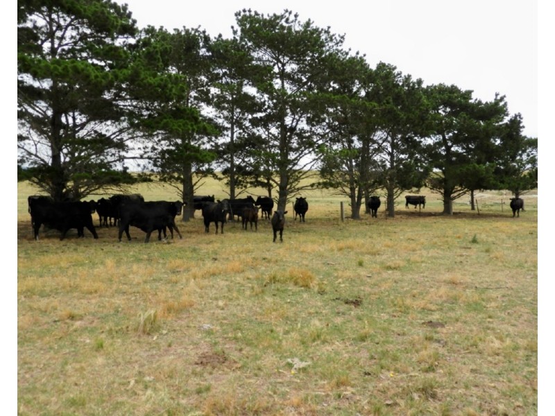 1440 Windellama Road, Goulburn NSW 2580