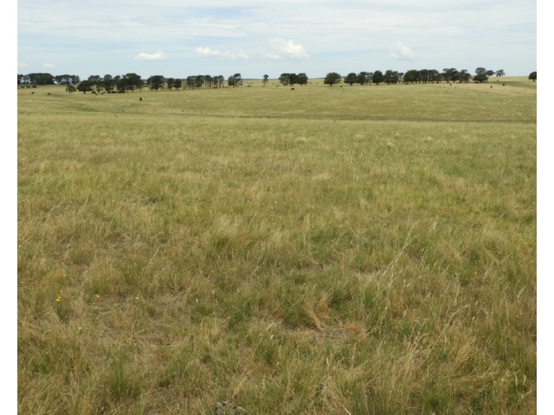 1440 Windellama Road, Goulburn NSW 2580