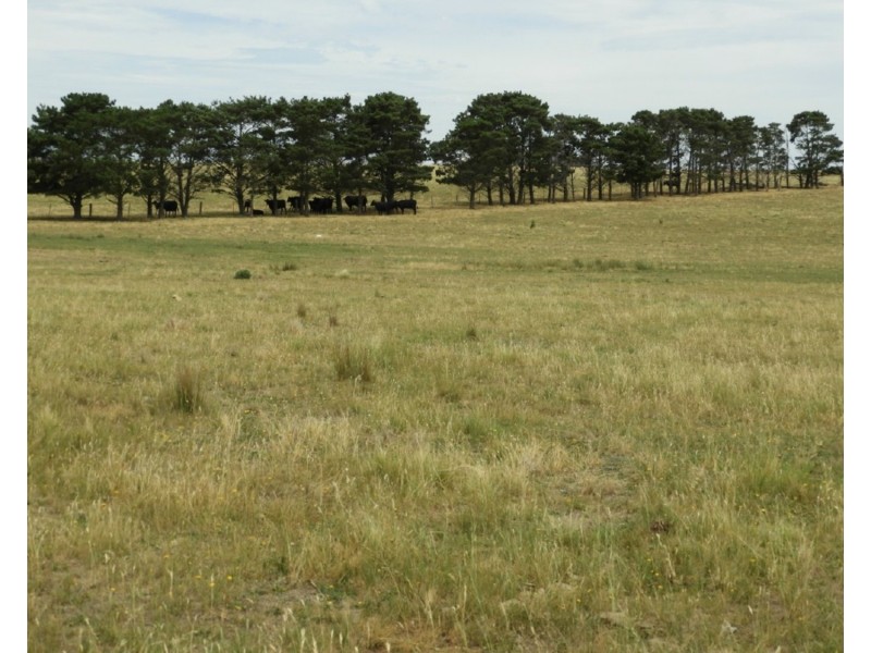 1440 Windellama Road, Goulburn NSW 2580