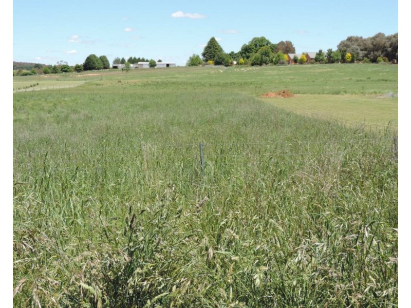 5 Clements Street, Crookwell NSW 2583