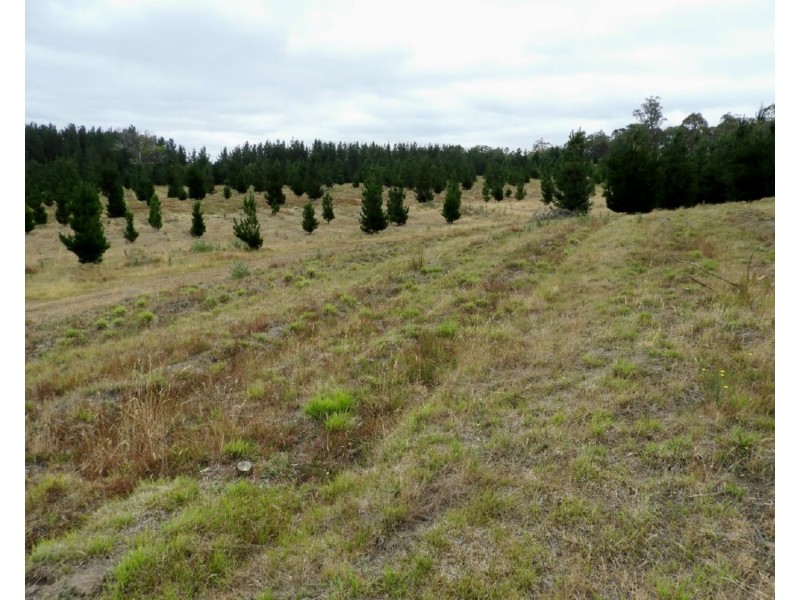 240 Inverary Road, Bungonia NSW 2580