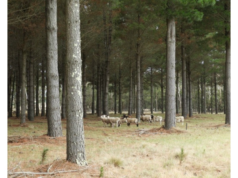 240 Inverary Road, Bungonia NSW 2580