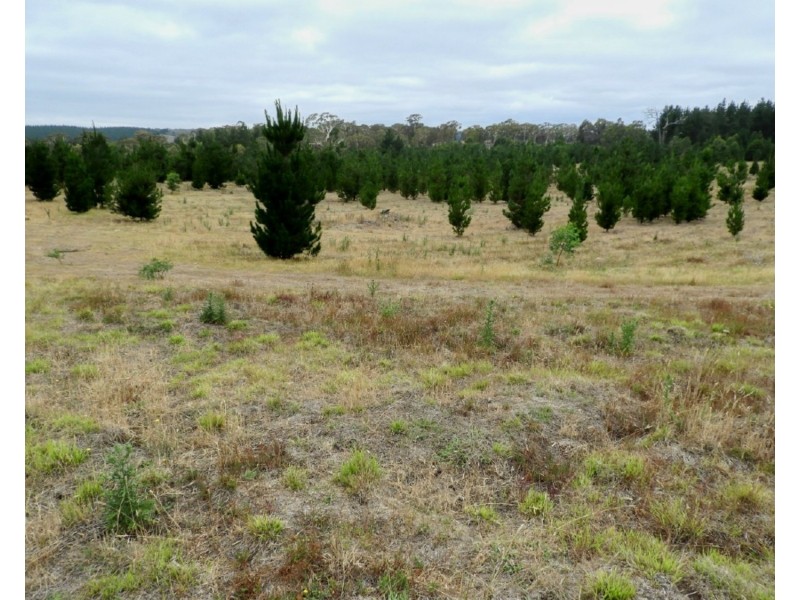 240 Inverary Road, Bungonia NSW 2580