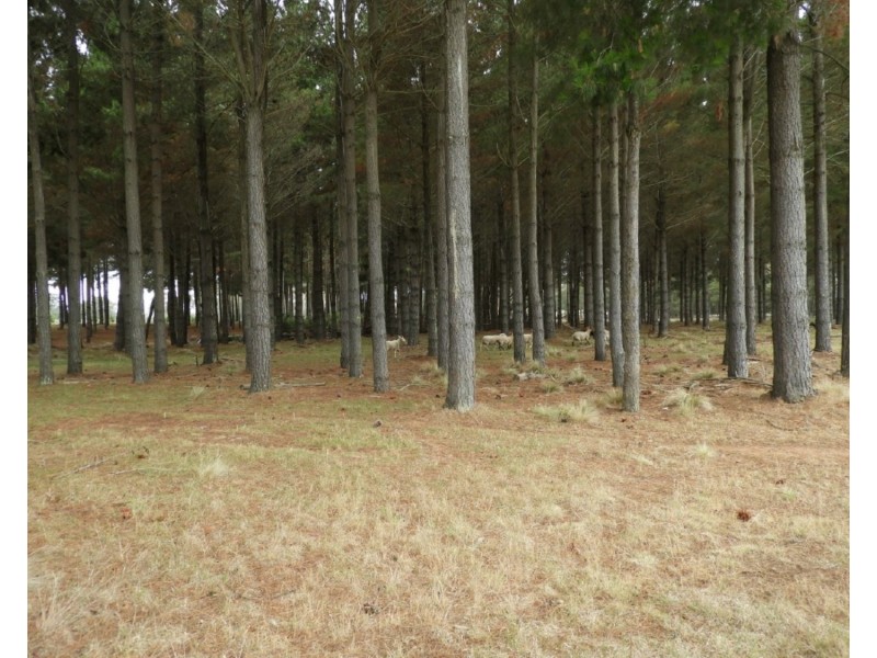 240 Inverary Road, Bungonia NSW 2580