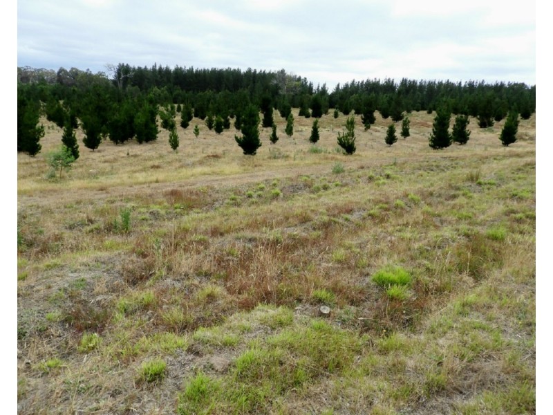 240 Inverary Road, Bungonia NSW 2580