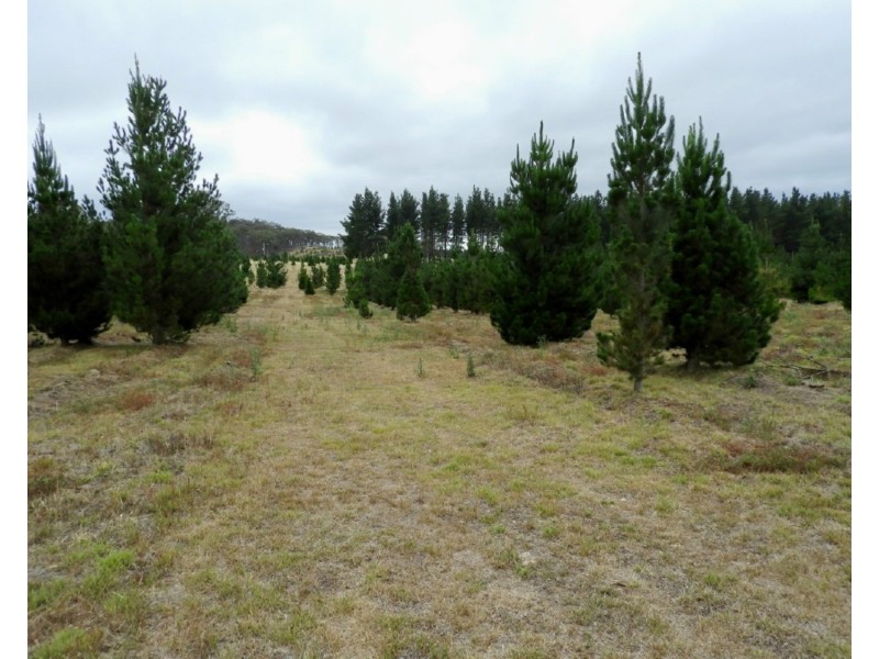 240 Inverary Road, Bungonia NSW 2580