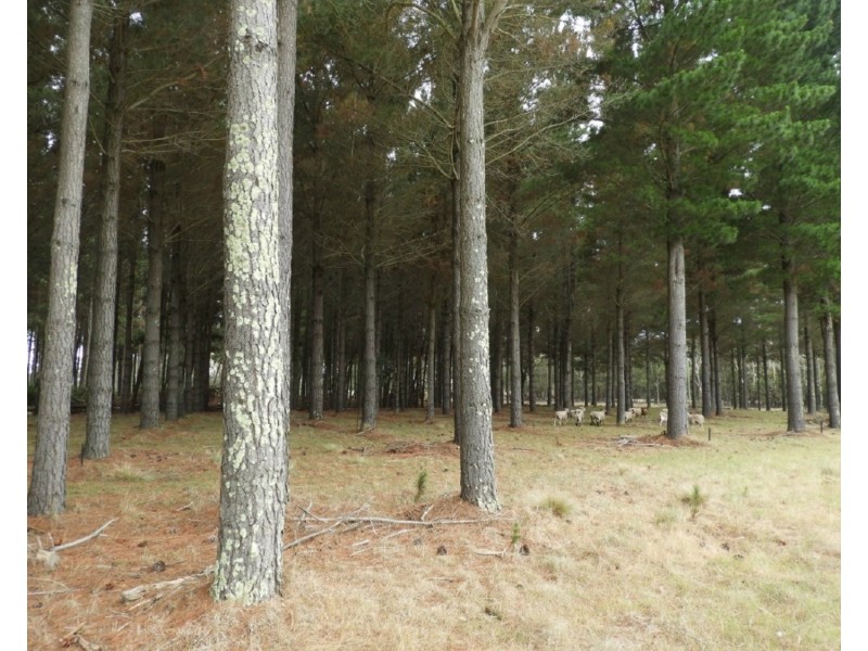 240 Inverary Road, Bungonia NSW 2580