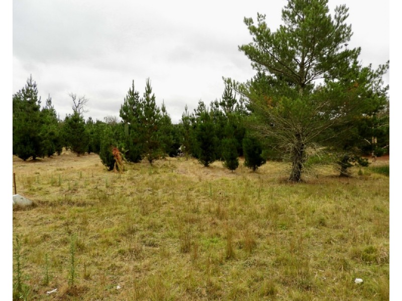 240 Inverary Road, Bungonia NSW 2580