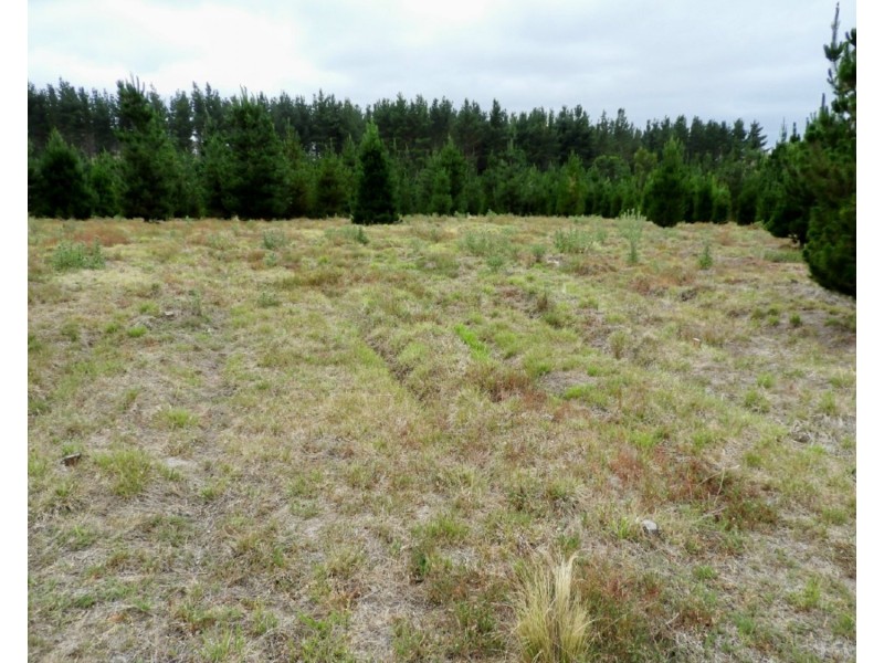 240 Inverary Road, Bungonia NSW 2580