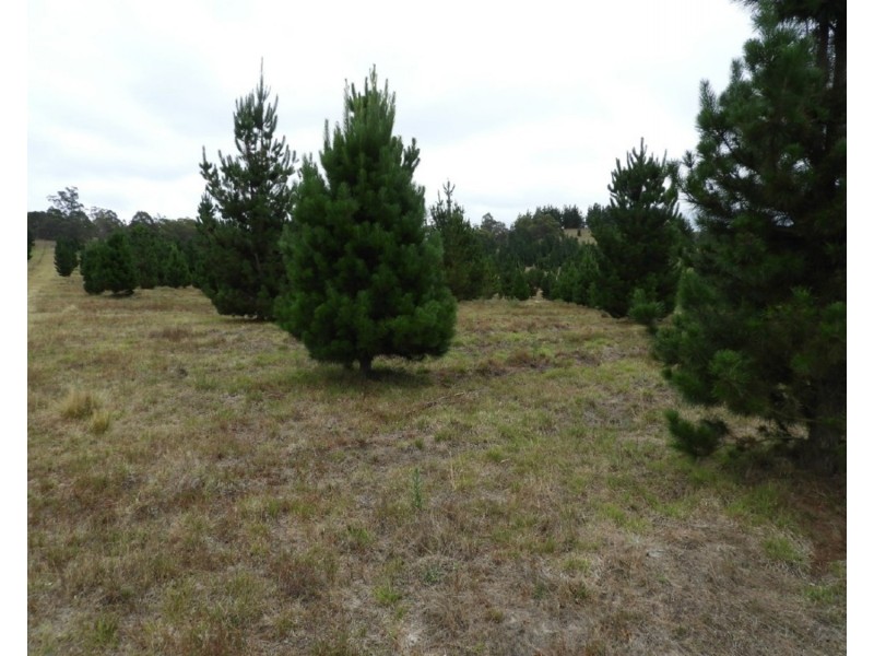 240 Inverary Road, Bungonia NSW 2580