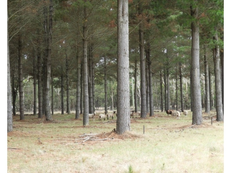 240 Inverary Road, Bungonia NSW 2580