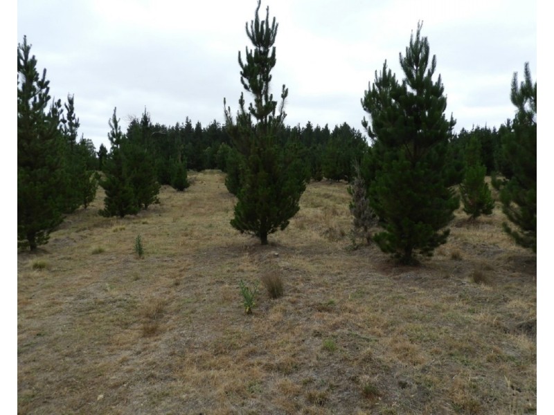 240 Inverary Road, Bungonia NSW 2580