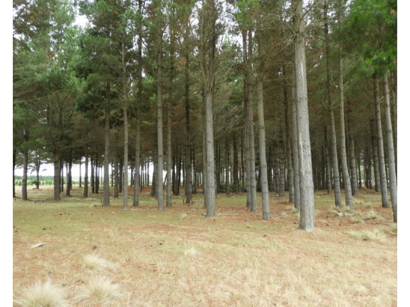 240 Inverary Road, Bungonia NSW 2580