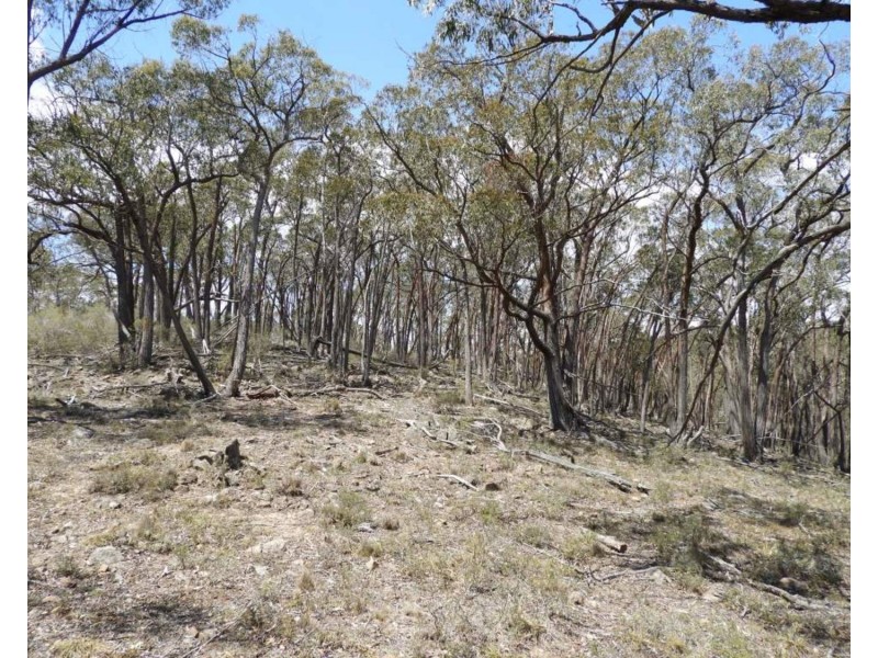 202 Long Gulley Road, Bannaby NSW 2580