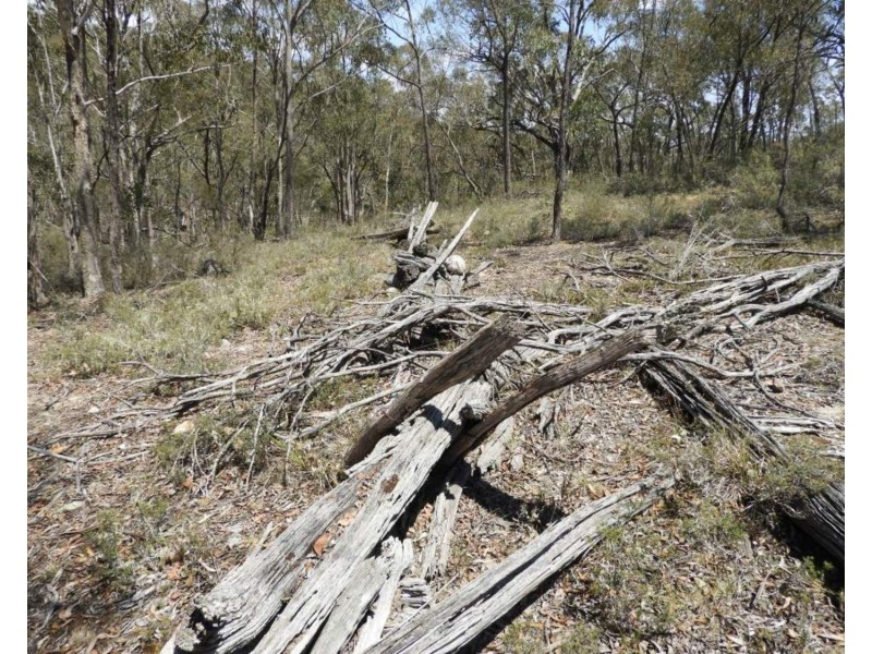 202 Long Gulley Road, Bannaby NSW 2580