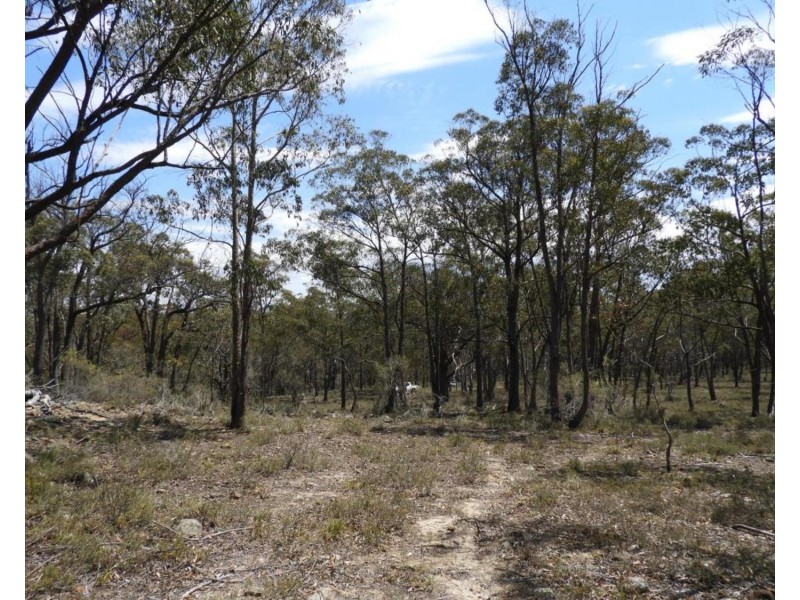 202 Long Gulley Road, Bannaby NSW 2580