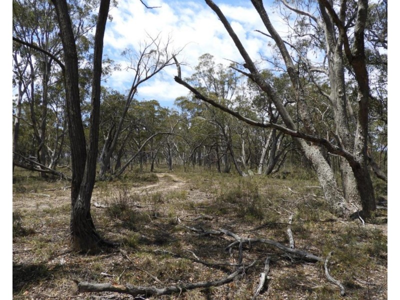 202 Long Gulley Road, Bannaby NSW 2580