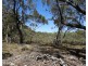 1108 Wombeyan Caves Road, Taralga NSW 2580