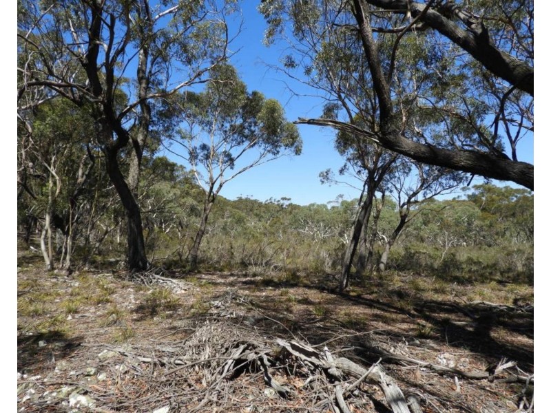 1108 Wombeyan Caves Road, Taralga NSW 2580