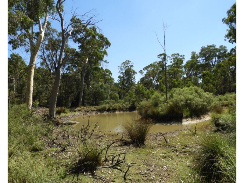 1108 Wombeyan Caves Road, Taralga NSW 2580