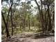 1108 Wombeyan Caves Road, Taralga NSW 2580