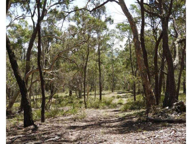 1108 Wombeyan Caves Road, Taralga NSW 2580