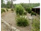 Drumossie 4492 Peelwood Road, Peelwood NSW 2583