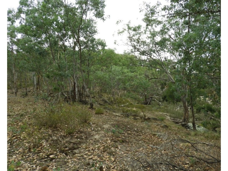 Drumossie 4492 Peelwood Road, Peelwood NSW 2583