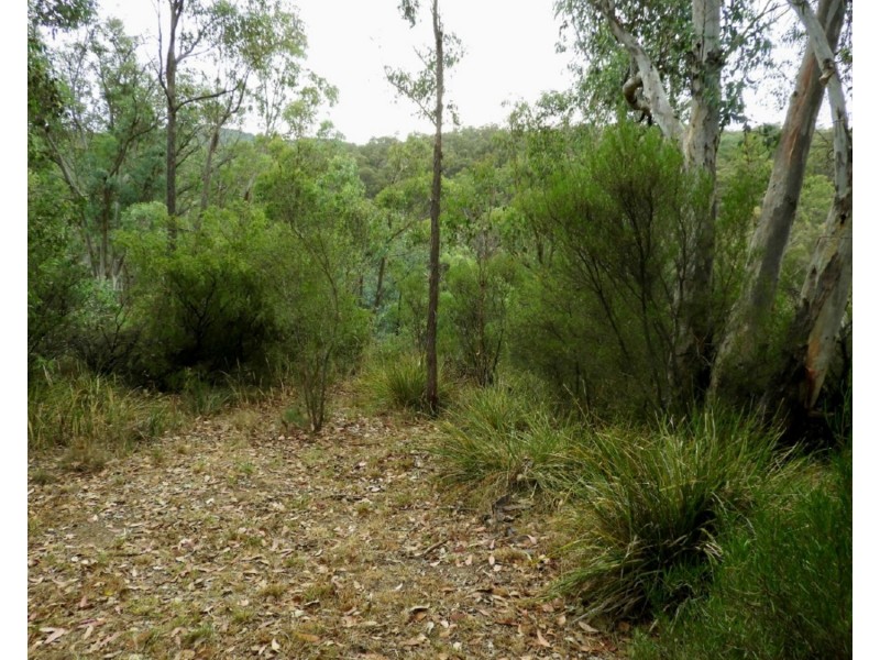 Drumossie 4492 Peelwood Road, Peelwood NSW 2583