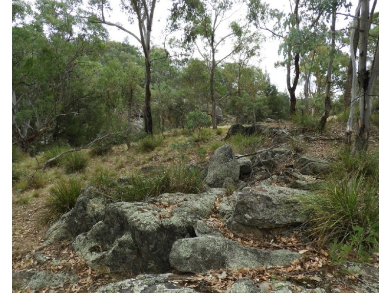 Drumossie 4492 Peelwood Road, Peelwood NSW 2583