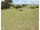 972 Mares Forest Road, Taralga NSW 2580