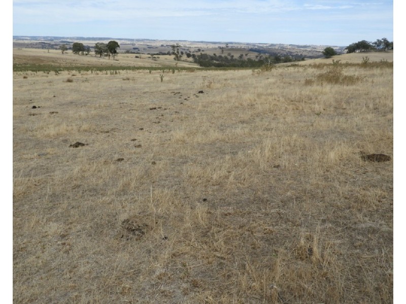 Lot 22 Levels Road, Golspie NSW 2580