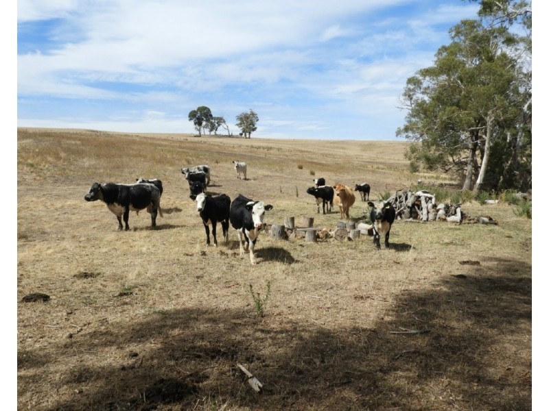 Lot 22 Levels Road, Golspie NSW 2580