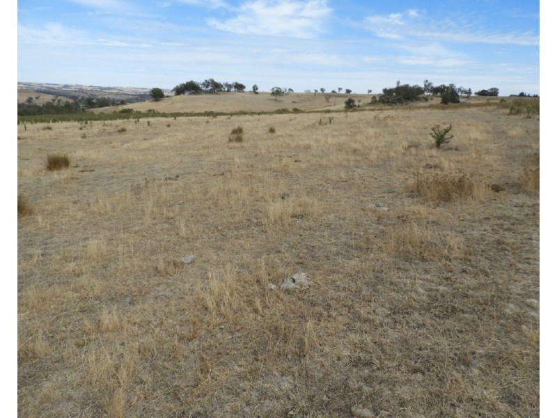 Lot 22 Levels Road, Golspie NSW 2580