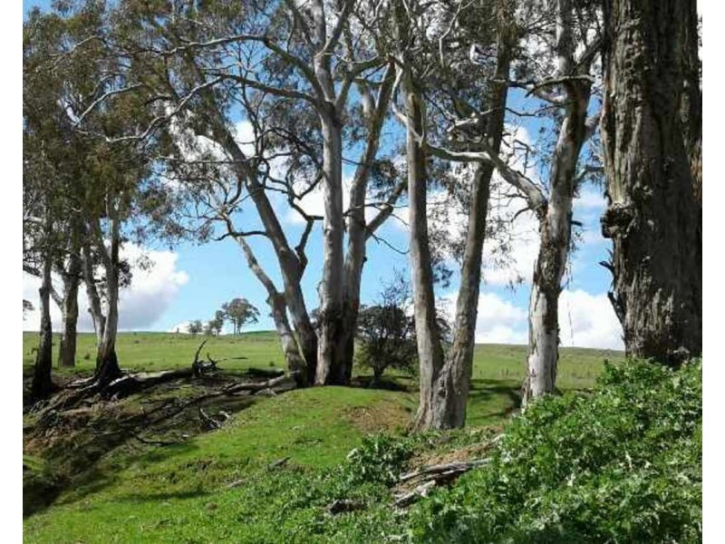 Lot 22 Levels Road, Golspie NSW 2580