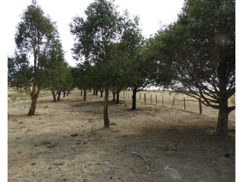 Lot 22 Levels Road, Golspie NSW 2580