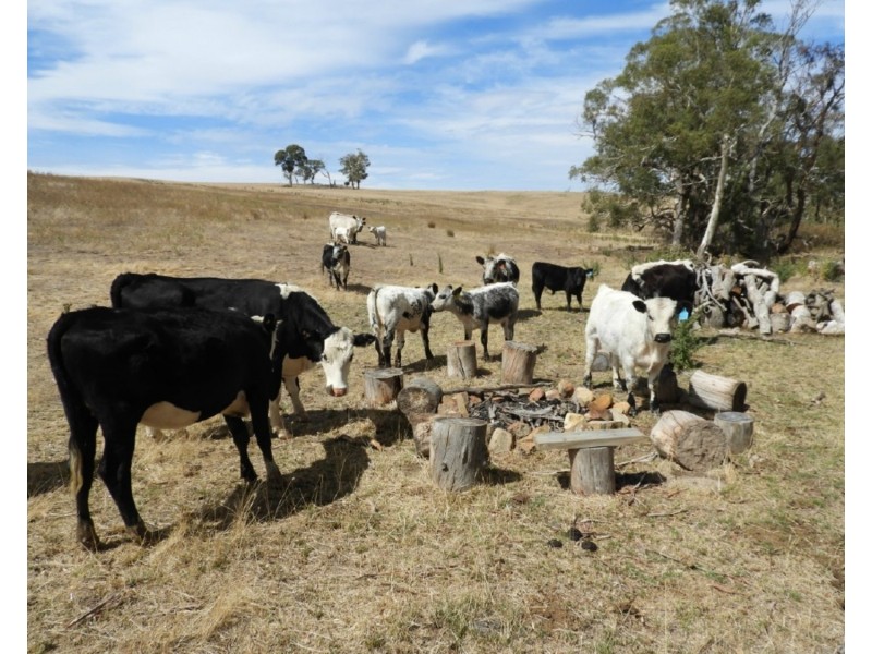 Lot 22 Levels Road, Golspie NSW 2580