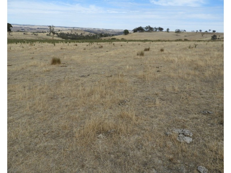 Lot 22 Levels Road, Golspie NSW 2580