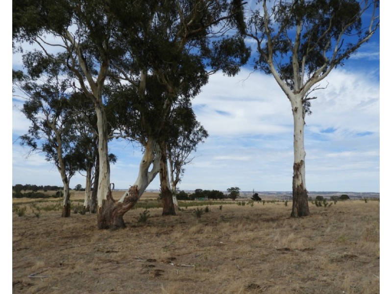 Lot 22 Levels Road, Golspie NSW 2580