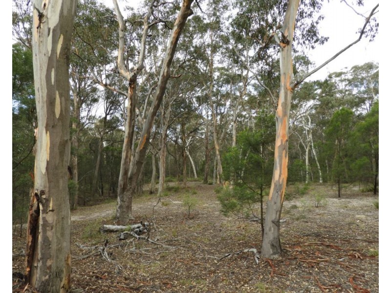 2355 Towrang Road, Greenwich Park NSW 2580