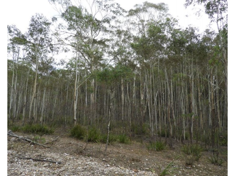 2355 Towrang Road, Greenwich Park NSW 2580